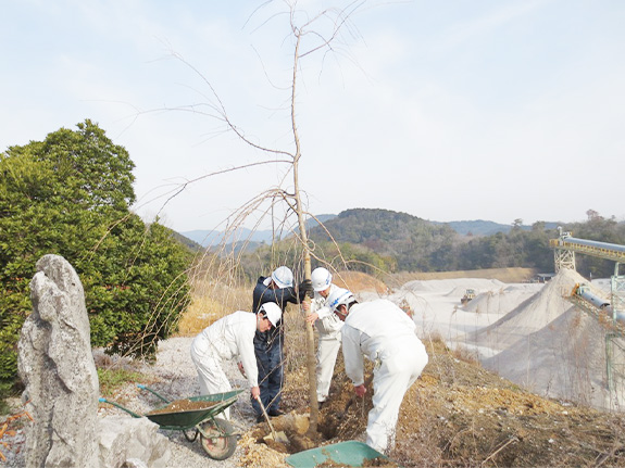 写真：鉱山内の植樹緑化